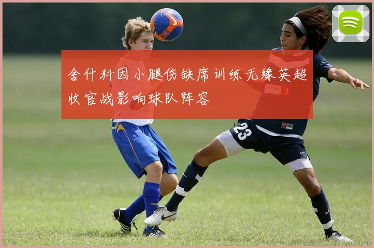 舍什科因小腿伤缺席训练无缘英超收官战影响球队阵容