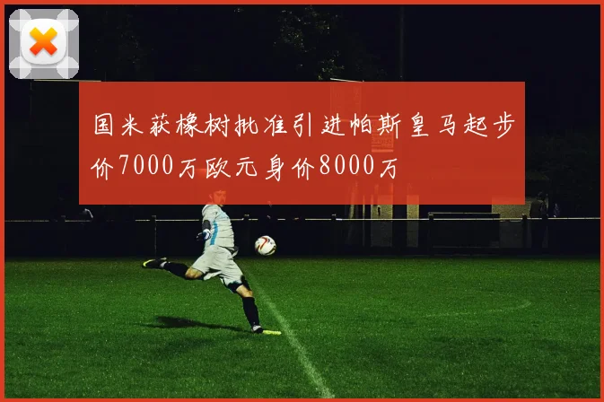 国米获橡树批准引进帕斯皇马起步价7000万欧元身价8000万